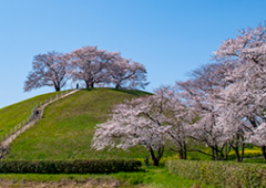 丸墓山古墳