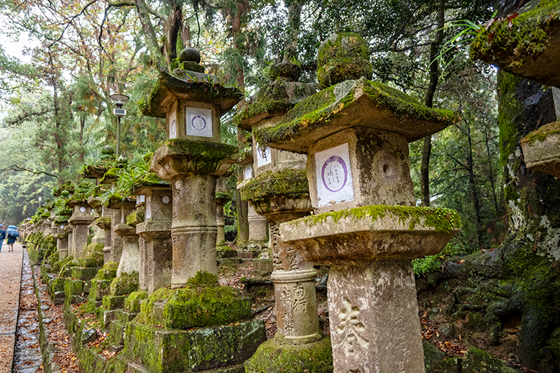 春日大社