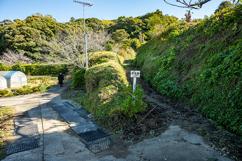 稲村城登り口