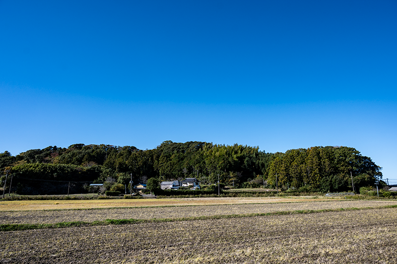 稲村城（東面）