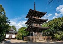 前山寺 未完成の完成の塔