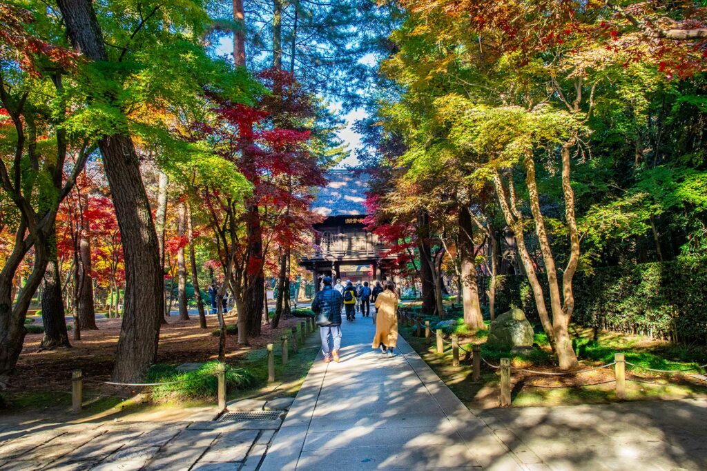 金鳳山平林寺山門